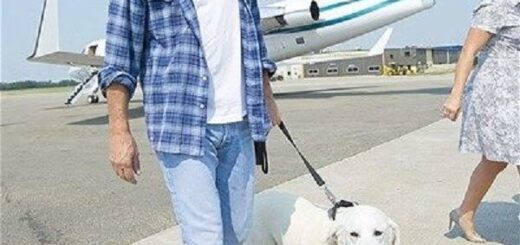 Kevin Costner’s Argument with His Dog Bob Has His Fans Yelling